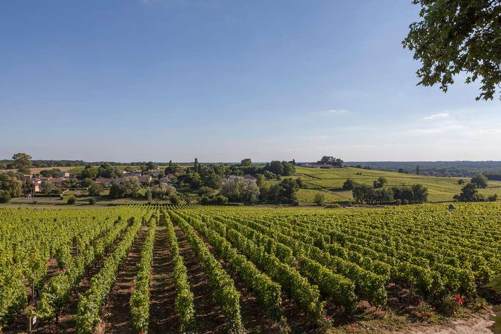 Chateau D'Arche, Grand Cru Classe De Sauternes Einrichtungen foto