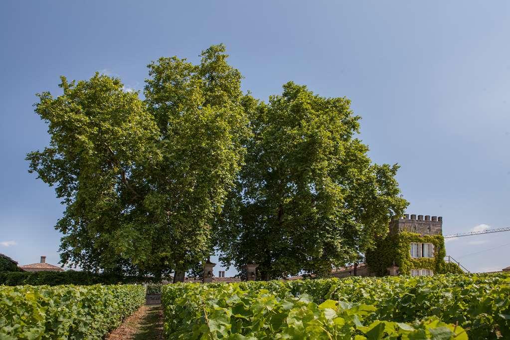 Chateau D'Arche, Grand Cru Classe De Sauternes Einrichtungen foto