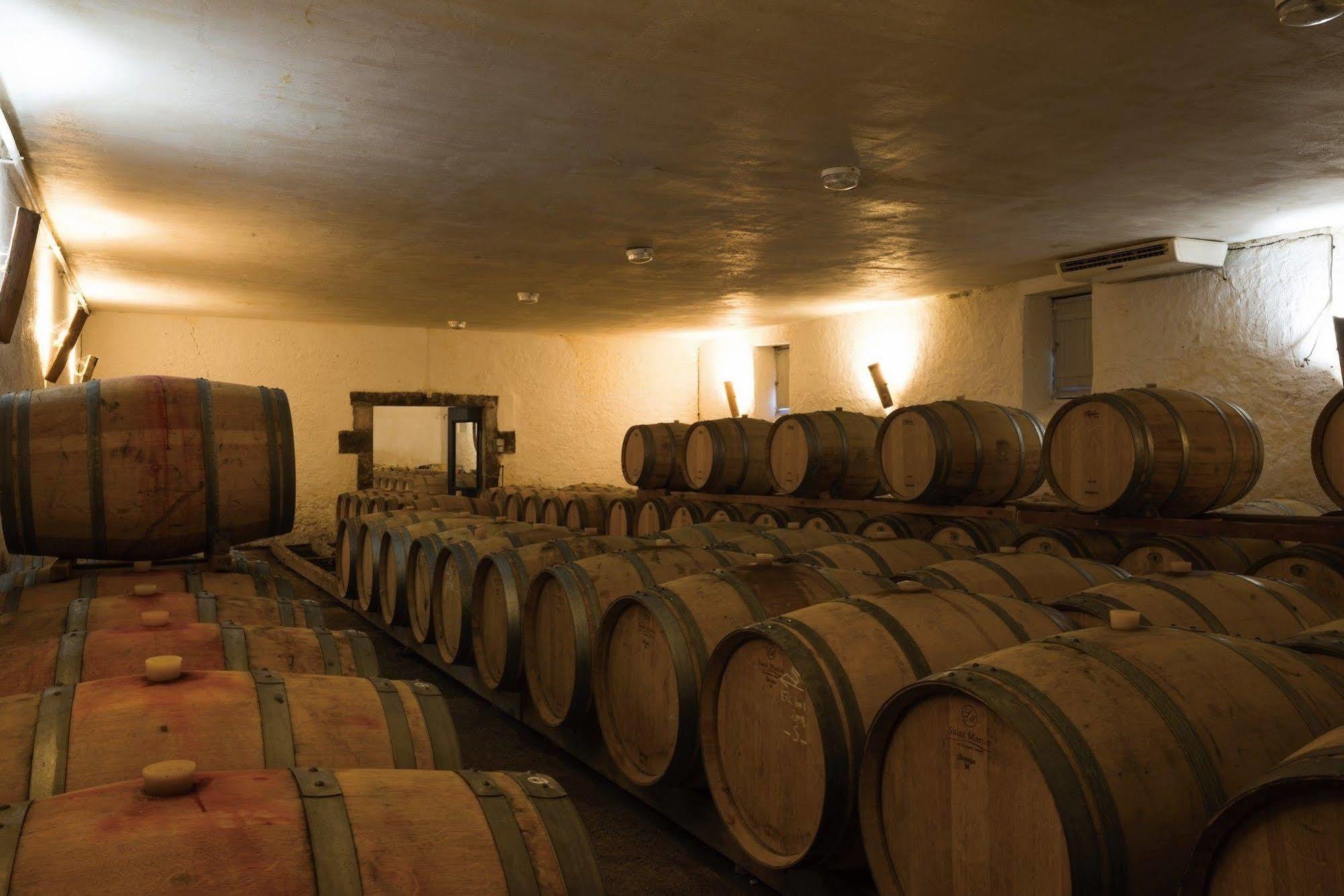 Chateau D'Arche, Grand Cru Classe De Sauternes Exterior foto